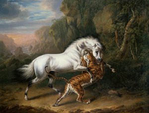 Ein Tiger greift einen arabischen Hengst an von Charles Towne