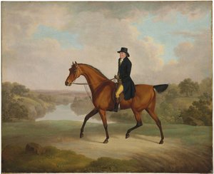 William Yates, Esq., von Springside, auf seinem Lieblingspferd