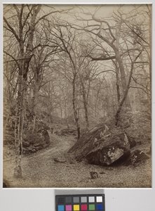 Fontainebleau, ca. 1870