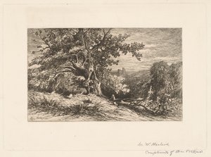 Landschaft mit umgestürztem Baum