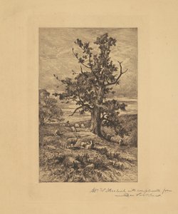 Landschaft mit Schafen