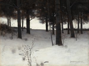 Wälder im Winter