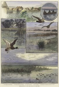 Entenjagd auf Long Point Island
