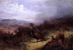 Moorhühner in den Highlands von Charles Whymper