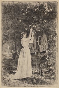 Ohne Titel (Frau pflückt Blüten)