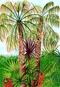 Barcelona Palmen von Charlotte Orr