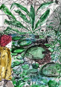 Oxford Botanischer Garten, 2020