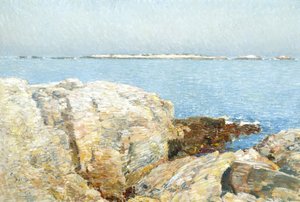 Enteninsel