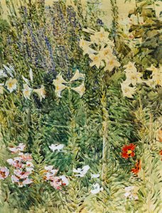 Rittersporn und Lilien