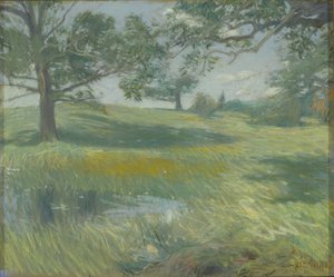 Wiesen, ca. 1900-10 von Childe Frederick Hassam