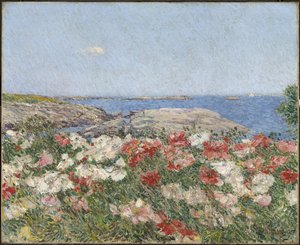 Mohnblumen auf den Isles of Shoals