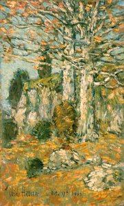 Baumlandschaft