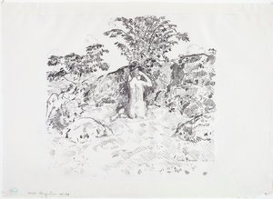Wilder Kirschbaum