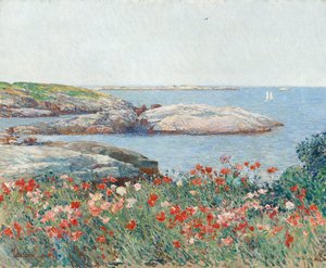 Mohnblumen, Isles of Shoals