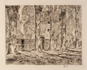 Die Dorfulmen, Easthampton