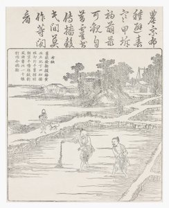 Reis säen in einem Saatbeet, 18. Jahrhundert von Chinese School