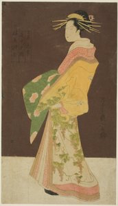 Eine Auswahl von Schönheiten aus den Vergnügungsvierteln (Seiro bisen awase): Hanamurasaki vom Tamaya in Prozession (Tamaya Hanamurasaki dochu no zu) von Chobunsai Eishi
