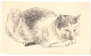 Liegende Katze