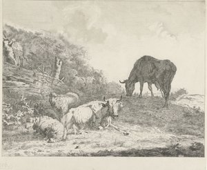 Landschaft mit Vieh