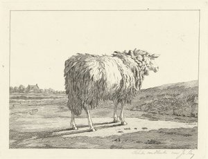 Schaf in einer Landschaft