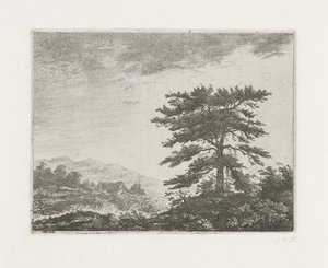 Baum in einer Heidelandschaft von Christiaan Wilhelmus Moorrees