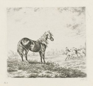 Landschaft mit drei Pferden