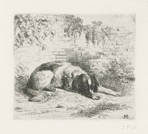 Liegender Hund vor einer Mauer von Christiaan Wilhelmus Moorrees