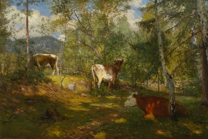 Sonnenflecken im Wald