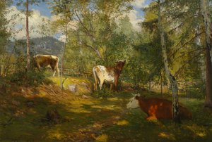 Sonnenflecken im Wald
