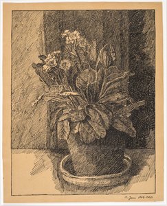 Blumentopf mit Primel von Christian Kongstad Petersen