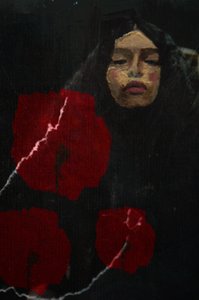 Dunkle Mohnblumen Porträt von Christina Misuro