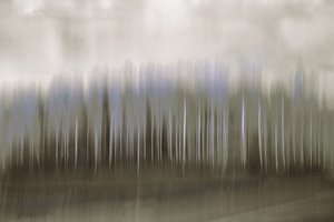 Verschwommene Waldreflexion von Christina Sillen