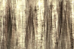 Träumige Waldlinien von Christina Sillen