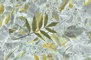 Verblasste Herbstblätter von Christina Sillen