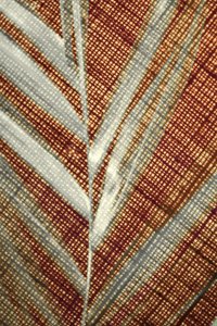 Leuchtendes tropisches Blatt von Christina Sillen