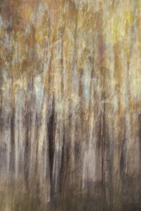 Goldener Waldabstrakt von Christina Sillen