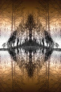 Spiegelnder Waldsee von Christina Sillen