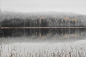 Nebliger Herbstsee von Christina Sillen