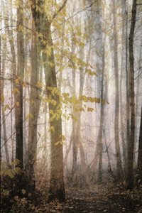 Nebliger Herbstweg von Christina Sillen
