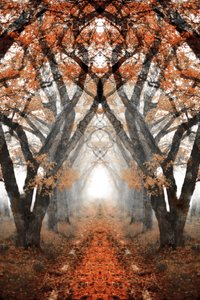 Nebliger Herbstpfad von Christina Sillen
