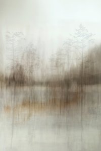 Neblige Waldreflexionen von Christina Sillen