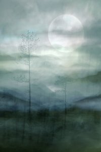 Nebliger mondbeschienener Wald von Christina Sillen