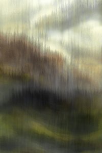 Nebliger Bergwald von Christina Sillen