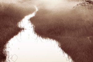 Nebliger Flusspfad von Christina Sillen