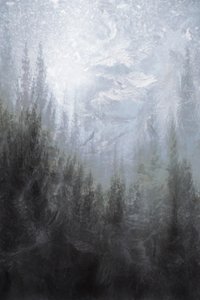 Nebliger Winterwald von Christina Sillen