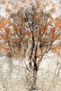 Strukturierter Herbstbaum von Christina Sillen