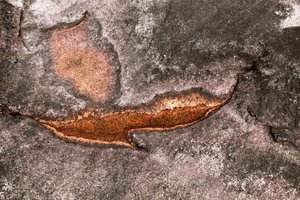 Verwitterte Mineraloberfläche von Christina Sillen