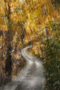 Windender Herbstpfad von Christina Sillen