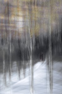 Winterwaldspaziergang von Christina Sillen