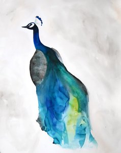 Eleganter Blauer Pfau von Christine Lindstrom
